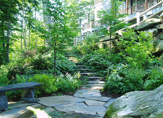 Picture of natural stone walkway with trees and ferns