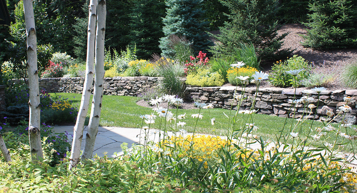 Plantings and Stone walls