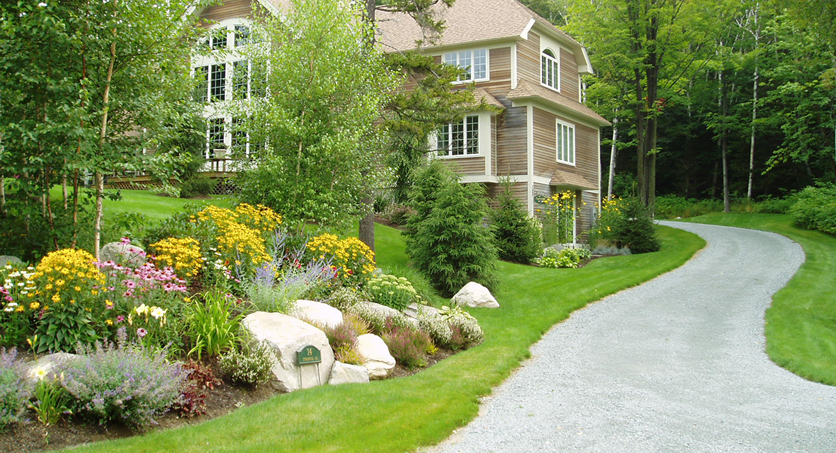 Hillside landscaping with trees and boulders