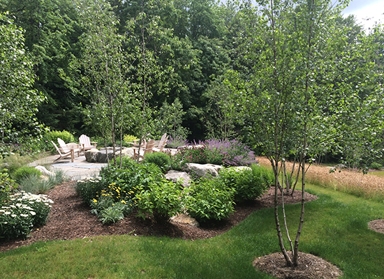 Picture of small trees with plantings and stone fireplace